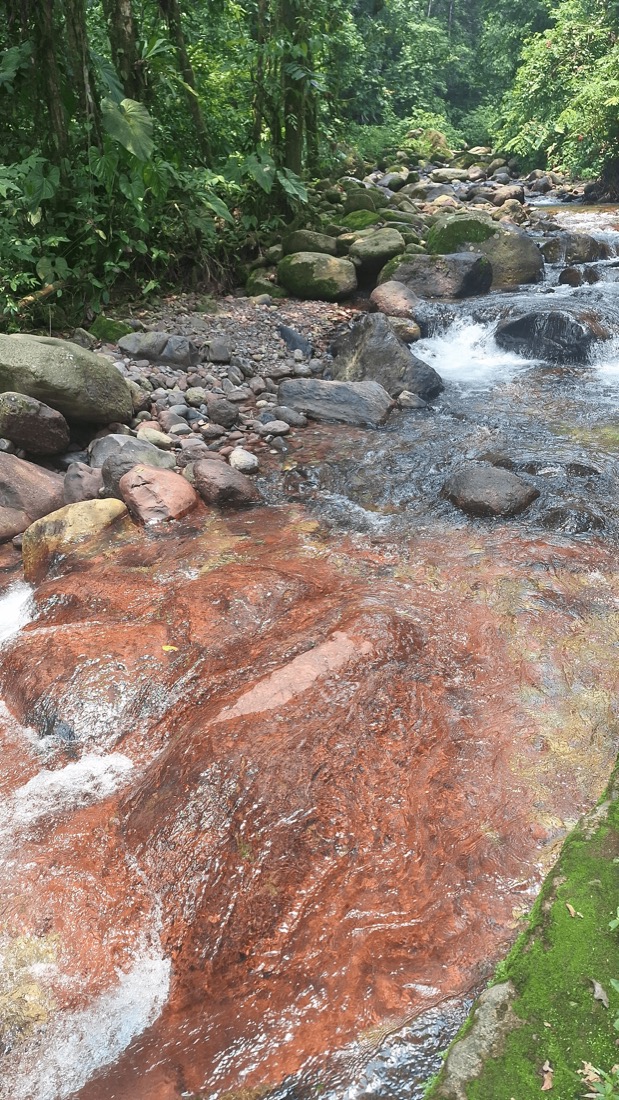 los llanos colombia
