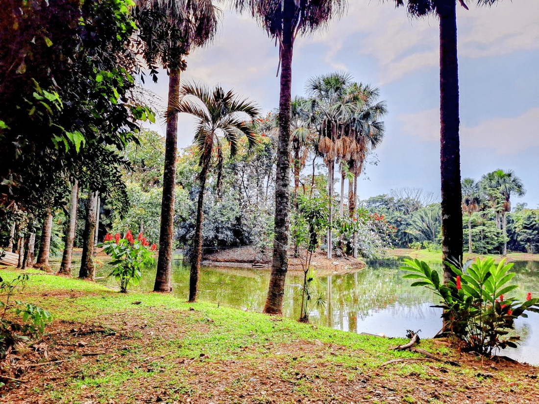 los llanos colombia