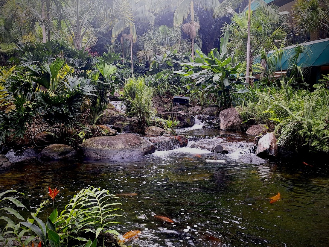 los llanos colombia
