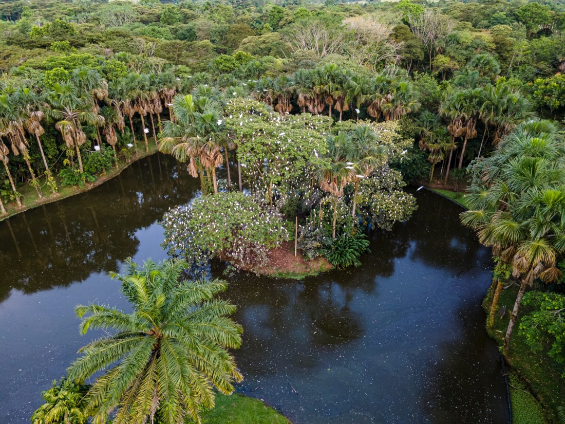los llanos colombia