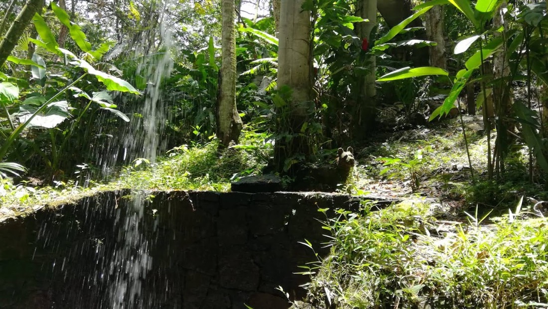 paraiso terrenal