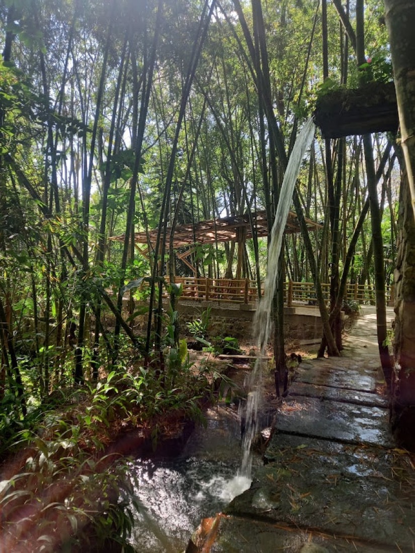 paraiso terrenal