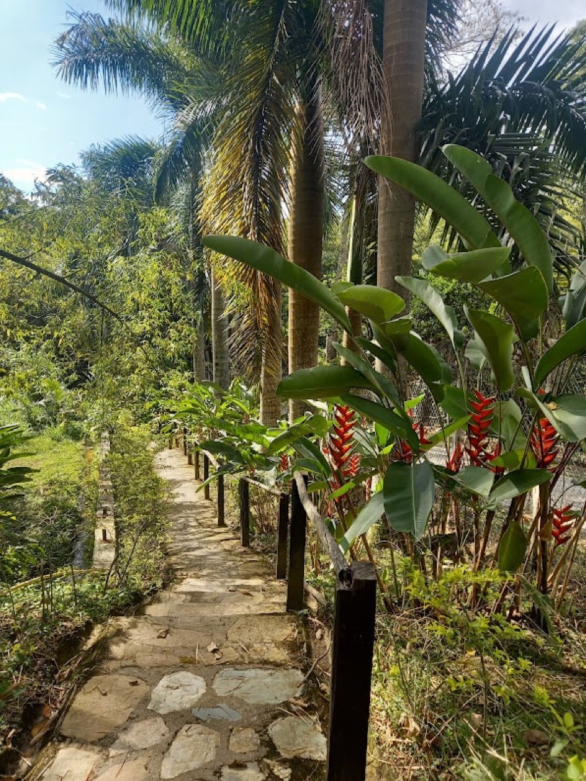 paraiso terrenal