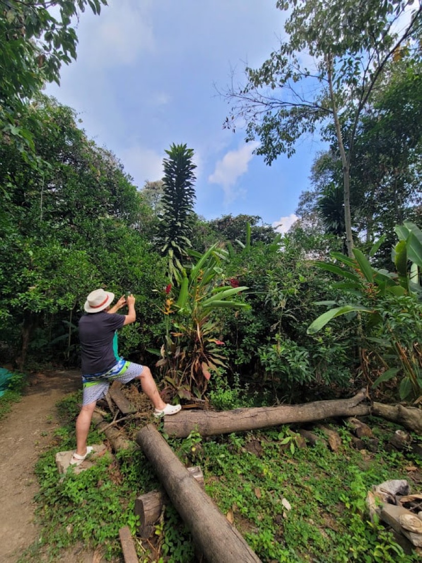 paraiso terrenal