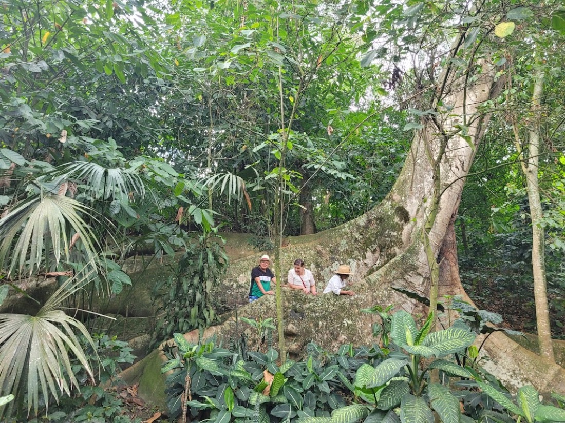 paraiso terrenal