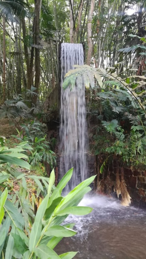 paraiso terrenal